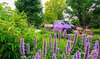 Gartenbau Aladdin 29