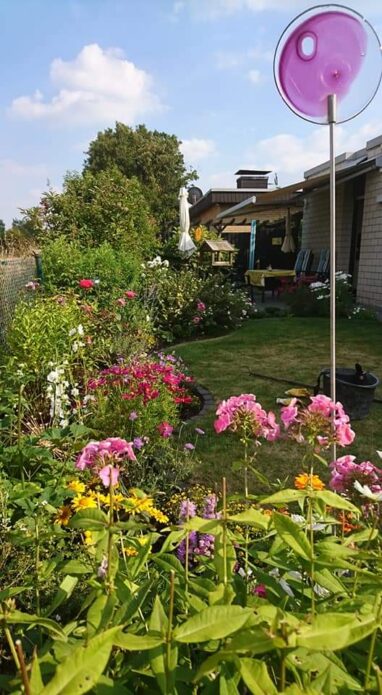 Gartenbau Aladdin 111