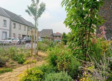 Gartenbau Aladdin 105