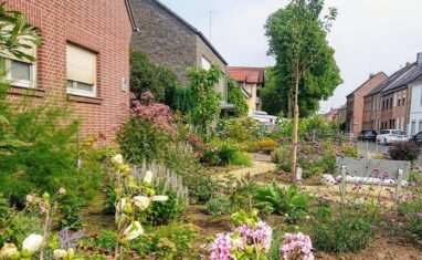 Gartenbau Aladdin 103