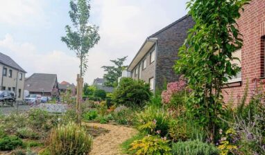 Gartenbau Aladdin 102