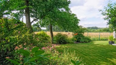 Gartenbau Aladdin 100