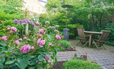 Gartenbau Aladdin 22