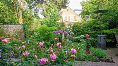 Gartenbau Aladdin 32