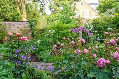 Gartenbau Aladdin 31