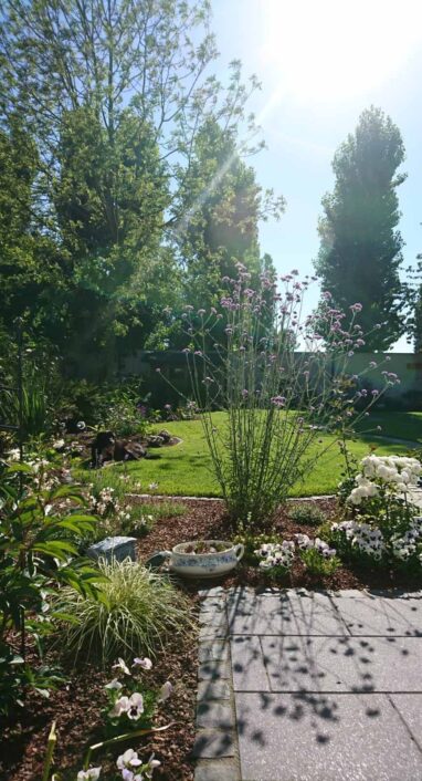 Gartenbau Aladdin 23