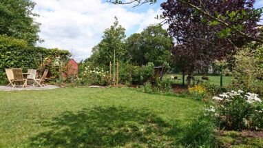 Gartenbau Aladdin 34