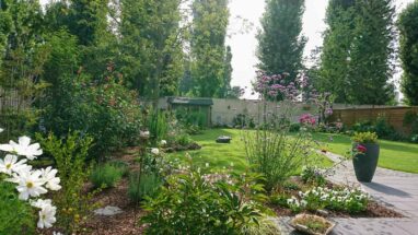 Gartenbau Aladdin 27