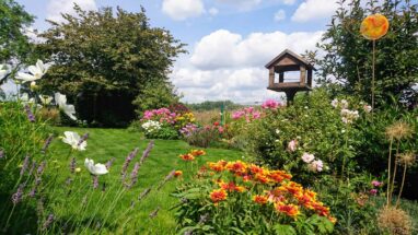 Gartenbau Aladdin 28