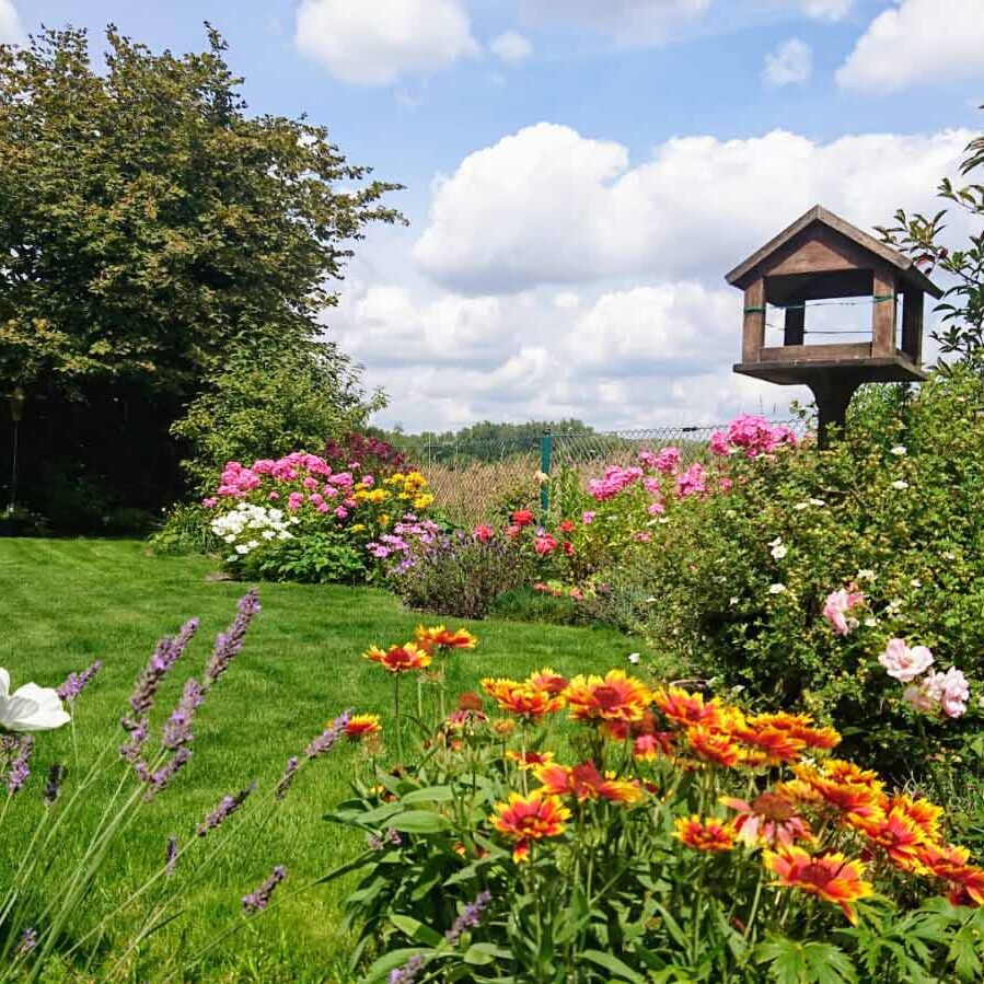 Gartenbau Aladdin 28