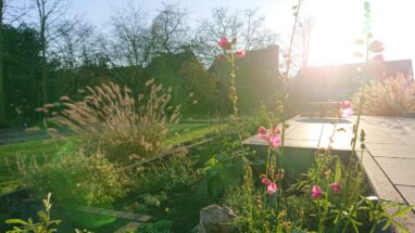 Gartenbau Aladdin 95