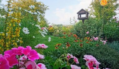 Gartenbau Aladdin 93