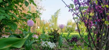 Gartenbau Aladdin 92