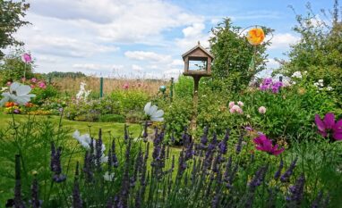 Gartenbau Aladdin 90