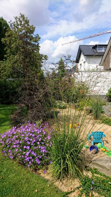 Gartenbau Aladdin 35