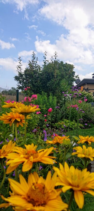 Gartenbau Aladdin 88