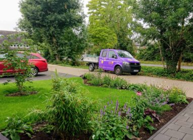 Gartenbau Aladdin 44