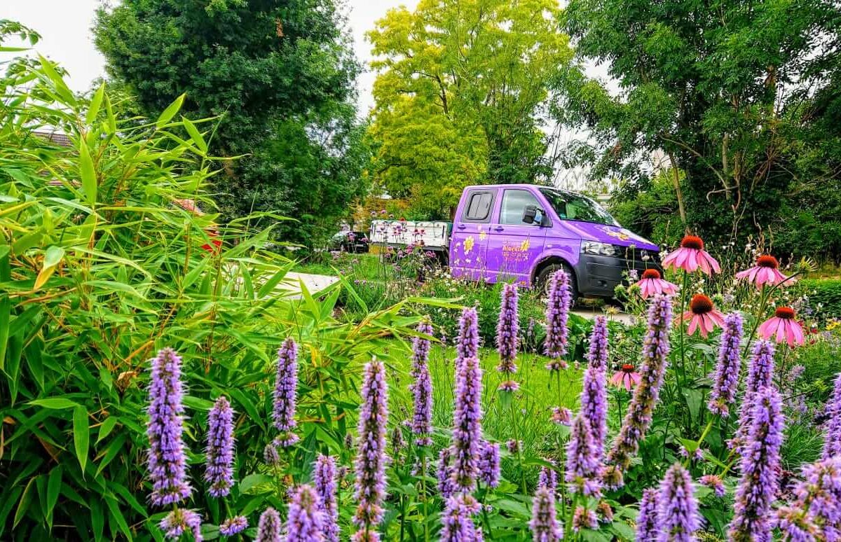 Gartenbau Aladdin 21