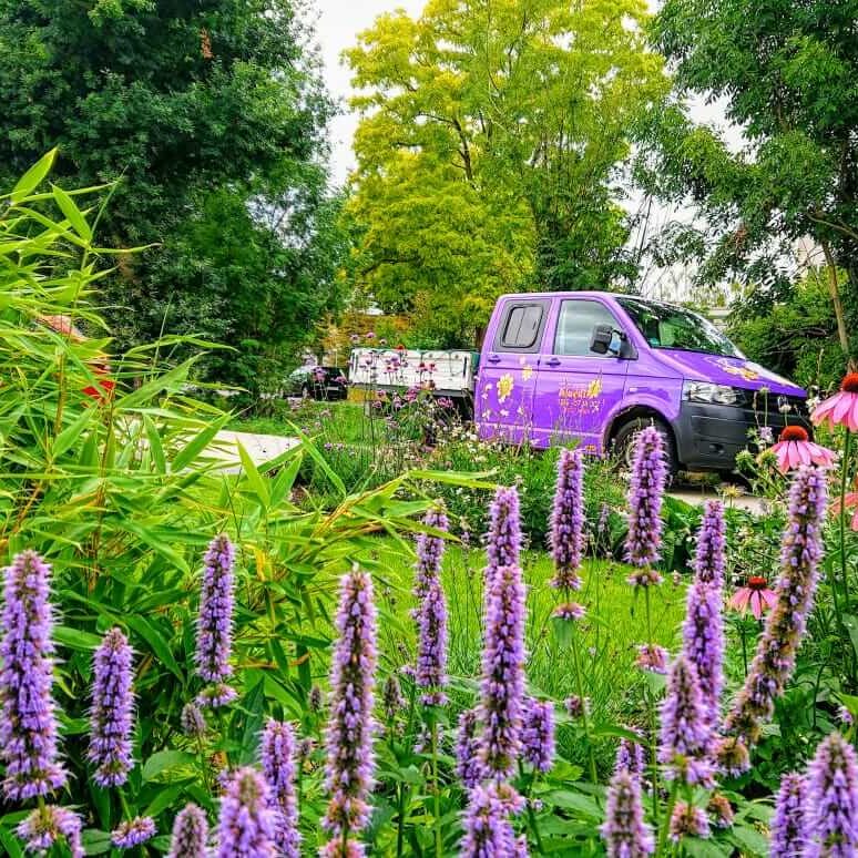 Gartenbau Aladdin 21