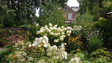 Gartenbau Aladdin 84