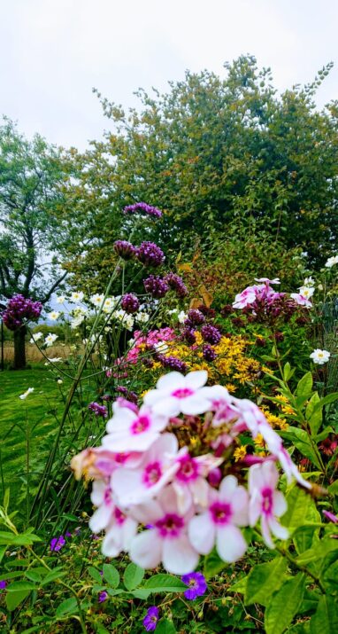 Gartenbau Aladdin 83