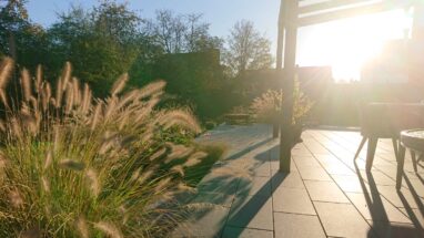 Gartenbau Aladdin 81