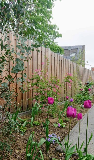 Gartenbau Aladdin 26