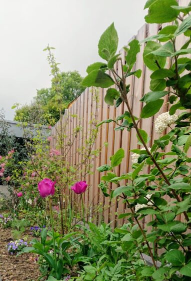 Gartenbau Aladdin 76