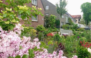 Gartenbau Aladdin 42