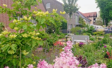 Gartenbau Aladdin 74