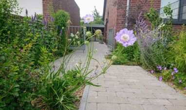 Gartenbau Aladdin 54