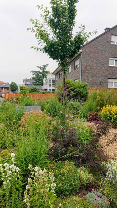 Gartenbau Aladdin 56