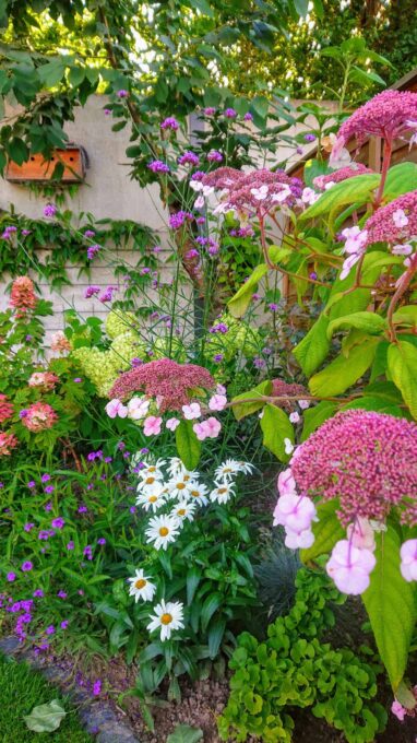 Gartenbau Aladdin 47