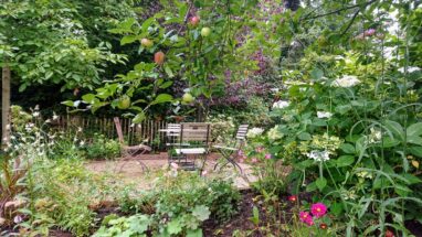 Gartenbau Aladdin 73