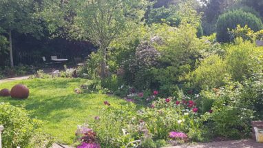 Gartenbau Aladdin 39