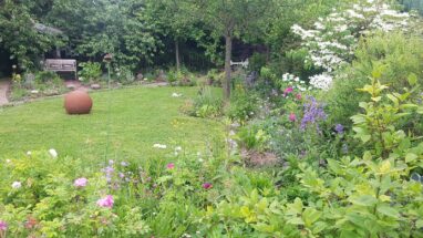 Gartenbau Aladdin 38