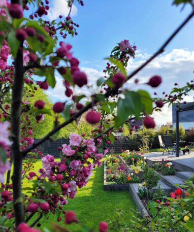 Gartenbau Aladdin 33