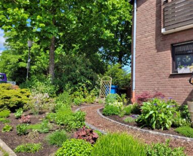 Gartenbau Aladdin 53