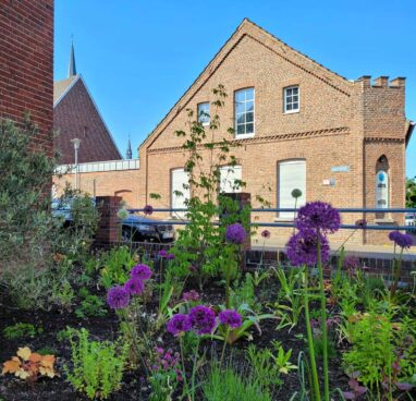 Gartenbau Aladdin 52