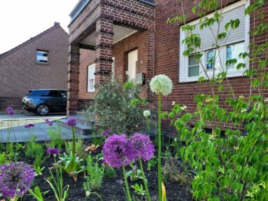 Gartenbau Aladdin 45