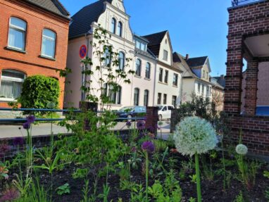 Gartenbau Aladdin 30