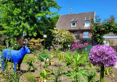 Gartenbau Aladdin 46