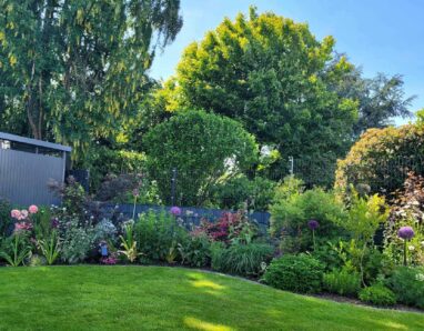 Gartenbau Aladdin 59