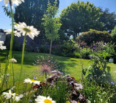 Gartenbau Aladdin 58