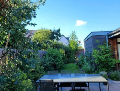 Gartenbau Aladdin 49