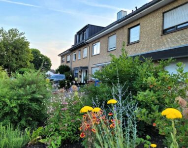 Gartenbau Aladdin 69