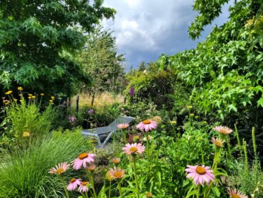 Gartenbau Aladdin 67