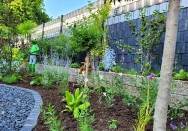 Gartenbau Aladdin 61