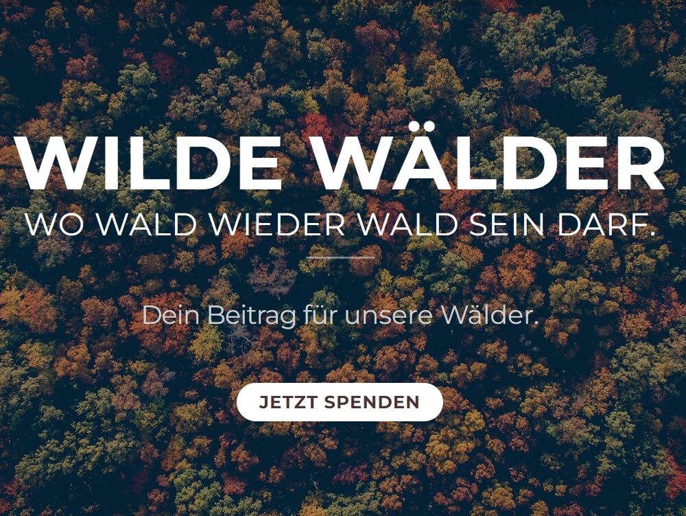 Wilde Wälder