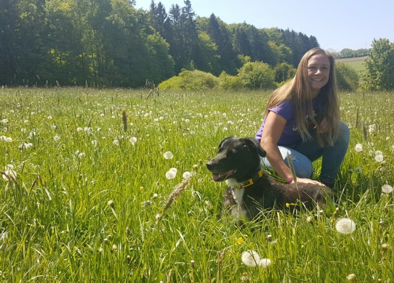 anna-hammer-gartenbau-aladdin-1024x576